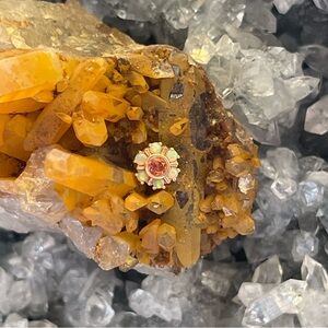 Gorgeous BVLA Rose Gold Mini Toltec 💗🧡